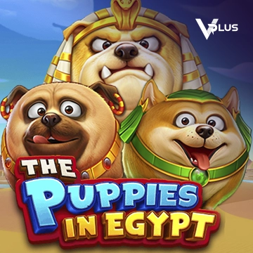 Vplus : The Puppies In Egypt - SUMMER138